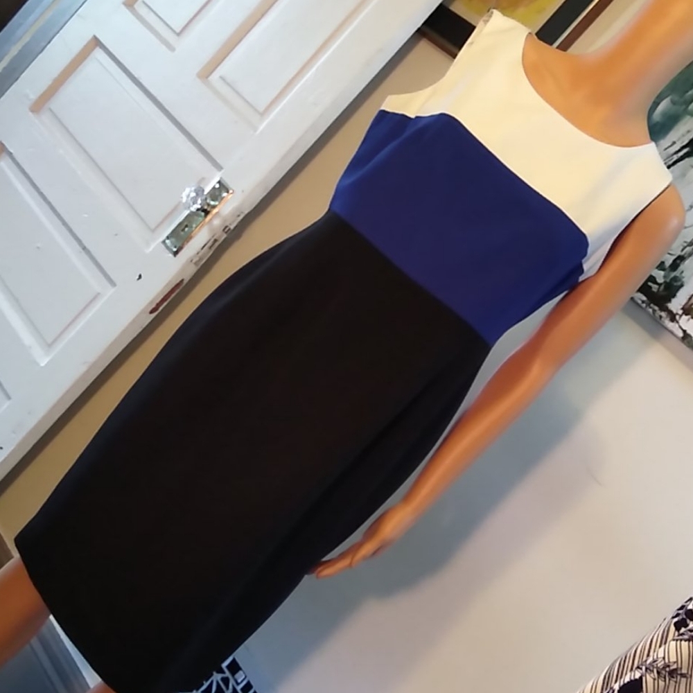 Evan Picone Black Label Color-block Career Dress